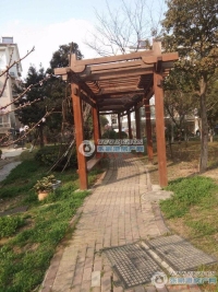 鹿苑和鑫花园实景图，拍摄于2024/9/3
