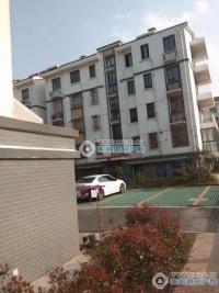 鹿苑和鑫花园实景图，拍摄于2024/9/3