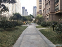 缇香世家实景图，拍摄于2024/9/4