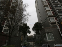 澳洋幸福里实景图，拍摄于2024/9/4
