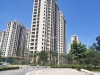 风景世家实景图，拍摄于2024/9/4