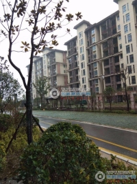 郦景澜湾实景图，拍摄于2024/9/4