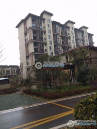 郦景澜湾实景图，拍摄于2024/9/4