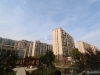 馨塘新村实景图，拍摄于2024/9/4