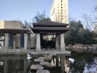 朗诗国泰城实景图，拍摄于2024/9/4