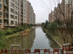 �Ǳ���Է���