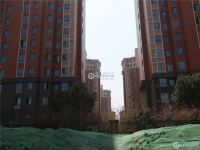 新航花苑实景图，拍摄于2024/9/6
