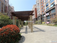 新航花苑实景图，拍摄于2024/9/6