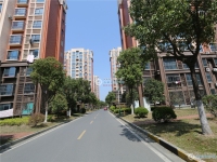 新航花苑实景图，拍摄于2024/9/6