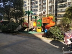 �̹�԰�����