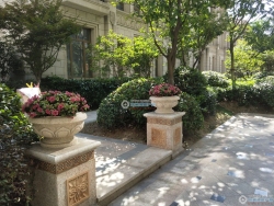 �����ʿ����