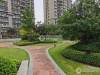 恒大雅苑实景图，拍摄于2024/9/6
