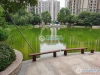 恒大雅苑实景图，拍摄于2024/9/6