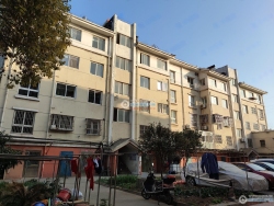 �����ƽԷ���