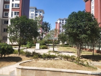 合兴大南三村实景图，拍摄于2024/9/6