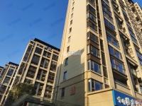 中梁壹号院实景图，拍摄于2024/9/9