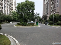振兴花苑实景图，拍摄于2024/9/9