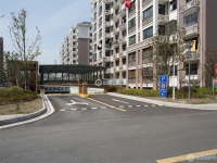 振兴花苑实景图，拍摄于2024/9/9