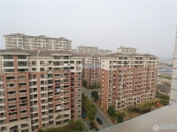 新庄花苑实景图，拍摄于2024/9/9