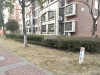 新庄花苑实景图，拍摄于2024/9/9