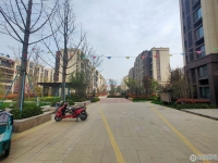 中昂朗润实景图，拍摄于2024/9/9