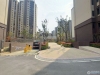 中昂朗润实景图，拍摄于2024/9/9