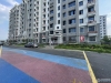 大南六村实景图，拍摄于2024/9/9
