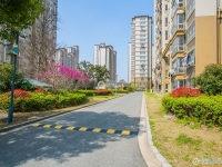金都花苑二期实景图，拍摄于2024/9/9