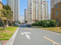 金都花苑二期实景图，拍摄于2024/9/9