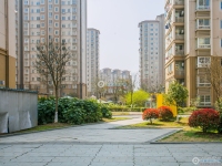 金都花苑二期实景图，拍摄于2024/9/9