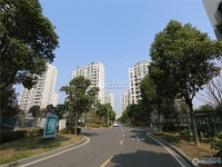 包基花苑实景图，拍摄于2024/9/9