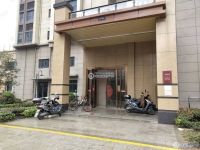 碧桂园尚东区实景图，拍摄于2024/9/9
