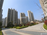 碧桂园翡翠公馆实景图，拍摄于2024/9/9