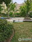 中锐星奕湾实景图，拍摄于2024/9/9