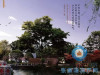 郦景澜湾实景图，拍摄于2015/10/8