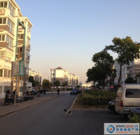 徐丰小区实景图，拍摄于2015/10/13