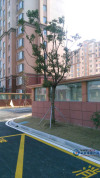 丽新花苑样板房图，拍摄于2016/1/15