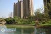 阳光锦程实景图，拍摄于2017/5/11