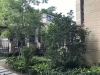 缇香镜湖湾实景图，拍摄于2018/6/19
