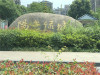阳光绿城实景图，拍摄于2018/7/4
