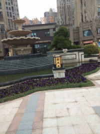 阳光锦程实景图，拍摄于2018/7/4