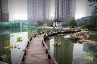 阳光锦程实景图，拍摄于2018/7/4