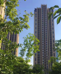 阳光锦程实景图，拍摄于2018/7/4