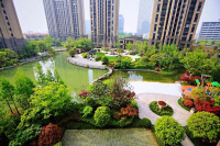 阳光锦程实景图，拍摄于2018/7/4