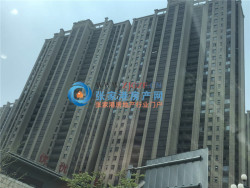 ���������Է���