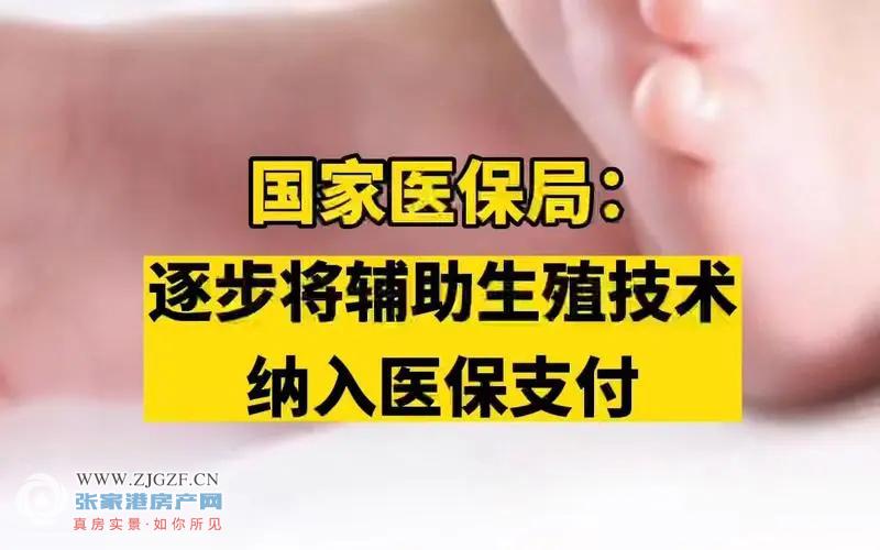 辅助生殖捐卵：了解捐卵程序的方方面面 (辅助生殖捐卵注意事项)