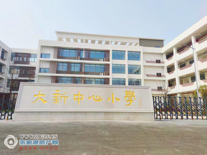 张家港大新中心小学图片