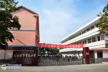 张家港青龙小学图片