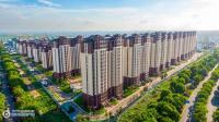 徐市印象花园/凤凰雅园实景图，拍摄于2024/10/27