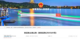 Ҹ\S悺鸣ع棨M[2025]65̖
